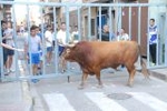 Las exhibiciones taurinas se saldan con dos heridos por asta de toro