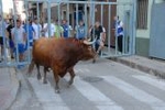 Las exhibiciones taurinas se saldan con dos heridos por asta de toro