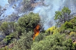 Un incendio calcina La Calderona