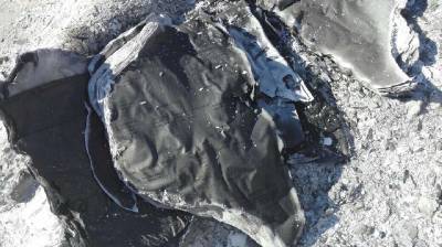 Fotografia /Galeria/2015/6/127093_69438/3_M1.jpg