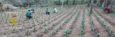 Fotografia /Galeria/2015/6/127348_69586/2_M1.jpg