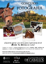 Culla convoca el concurso fotográfico de la IX Concentración de caballos