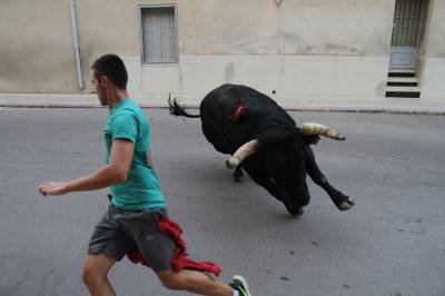 Un toro de Orellana Perdiz abre las exhibiciones taurinas de La Vilavella