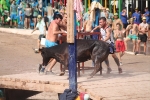 La Paloma protagoniza una tarde de fiesta 