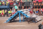 La Paloma protagoniza una tarde de fiesta 