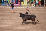 La Paloma protagoniza una tarde de fiesta 