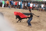 2 minutos y medio dura el encierro de toros cerriles de Les Penyes en Festes 2015