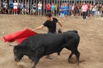 2 minutos y medio dura el encierro de toros cerriles de Les Penyes en Festes 2015