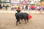 2 minutos y medio dura el encierro de toros cerriles de Les Penyes en Festes 2015