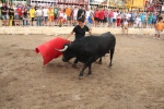 2 minutos y medio dura el encierro de toros cerriles de Les Penyes en Festes 2015