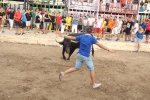 2 minutos y medio dura el encierro de toros cerriles de Les Penyes en Festes 2015