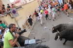 2 minutos y medio dura el encierro de toros cerriles de Les Penyes en Festes 2015