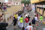 2 minutos y medio dura el encierro de toros cerriles de Les Penyes en Festes 2015