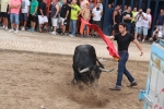 2 minutos y medio dura el encierro de toros cerriles de Les Penyes en Festes 2015