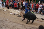 2 minutos y medio dura el encierro de toros cerriles de Les Penyes en Festes 2015