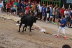 2 minutos y medio dura el encierro de toros cerriles de Les Penyes en Festes 2015