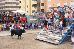 2 minutos y medio dura el encierro de toros cerriles de Les Penyes en Festes 2015