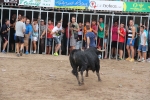 2 minutos y medio dura el encierro de toros cerriles de Les Penyes en Festes 2015