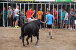 2 minutos y medio dura el encierro de toros cerriles de Les Penyes en Festes 2015