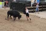 2 minutos y medio dura el encierro de toros cerriles de Les Penyes en Festes 2015