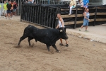 2 minutos y medio dura el encierro de toros cerriles de Les Penyes en Festes 2015