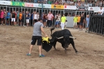 2 minutos y medio dura el encierro de toros cerriles de Les Penyes en Festes 2015