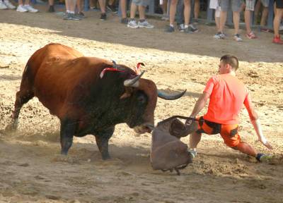 Burriana destinar la recaudacin de los toros a actividades sociales