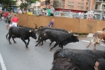La Vall cierra el capítulo de los encierros a falta de la lidia de Machancoses de esta tarde