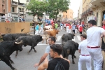 La Vall cierra el capítulo de los encierros a falta de la lidia de Machancoses de esta tarde