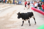 La Vall cierra el capítulo de los encierros a falta de la lidia de Machancoses de esta tarde