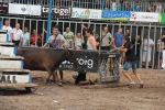 La Vall cierra el capítulo de los encierros a falta de la lidia de Machancoses de esta tarde