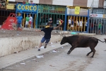 La Vall cierra el capítulo de los encierros a falta de la lidia de Machancoses de esta tarde