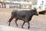 La Vall cierra el capítulo de los encierros a falta de la lidia de Machancoses de esta tarde