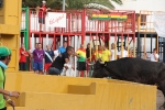 La Vall cierra el capítulo de los encierros a falta de la lidia de Machancoses de esta tarde