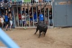 Lleno en el recinto de los toros y primer herido de la fiestas