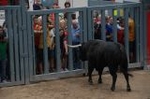 Lleno en el recinto de los toros y primer herido de la fiestas