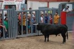 Lleno en el recinto de los toros y primer herido de la fiestas