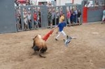 Lleno en el recinto de los toros y primer herido de la fiestas