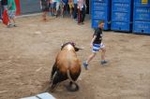 Lleno en el recinto de los toros y primer herido de la fiestas