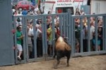 Lleno en el recinto de los toros y primer herido de la fiestas