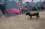 Lleno en el recinto de los toros y primer herido de la fiestas