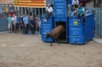 Lleno en el recinto de los toros y primer herido de la fiestas