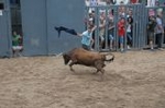 Lleno en el recinto de los toros y primer herido de la fiestas