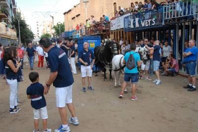 Fotografia /Galeria/2015/9/132000_71979/3_M1.jpg