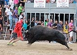 Punto y final a las exhibiciones taurinas de la Misericòrdia 2015