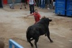 Vila-real cierra las exhibiciones taurinas con otro herido grave en el toro embolado