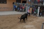 Vila-real cierra las exhibiciones taurinas con otro herido grave en el toro embolado