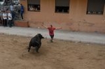 Vila-real cierra las exhibiciones taurinas con otro herido grave en el toro embolado