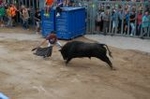 Vila-real cierra las exhibiciones taurinas con otro herido grave en el toro embolado