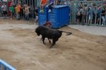 Vila-real cierra las exhibiciones taurinas con otro herido grave en el toro embolado